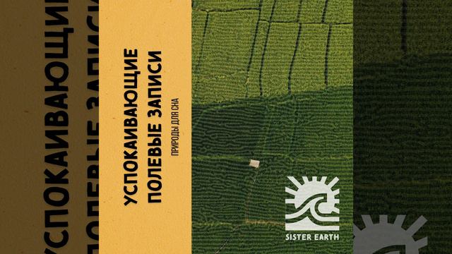 Постоянный Источник смотреть онлайн