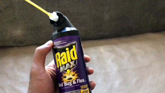 RAID MAX BED BUG AND FLEA REVIEW смотреть онлайн