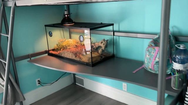 Как выглядит доступный дом в Канаде? Ст.Катаринс / Ниагара / Онтарио смотреть онлайн