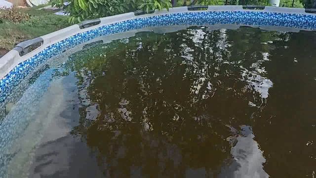 басейн часть 2 смотреть онлайн