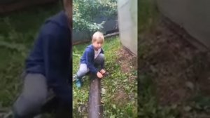 Как сделать самому ловушку для ящерицы. 🦎