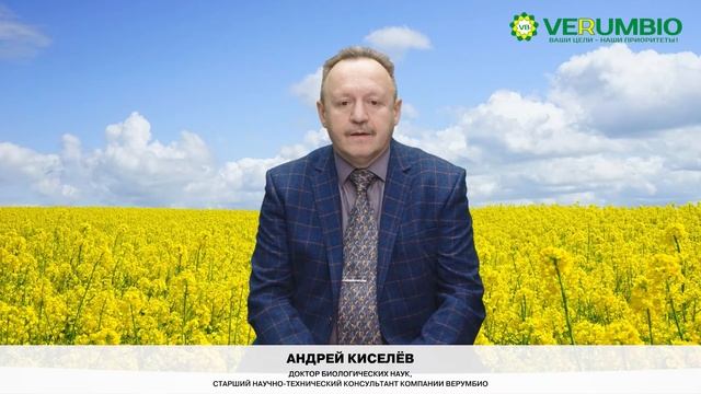 Школа птицевода. Урок 8. Повышаем эффективность птичника смотреть онлайн