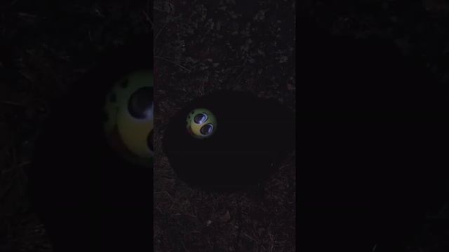 39 часть Коралины | Коралина в стране кошмаров смотреть онлайн