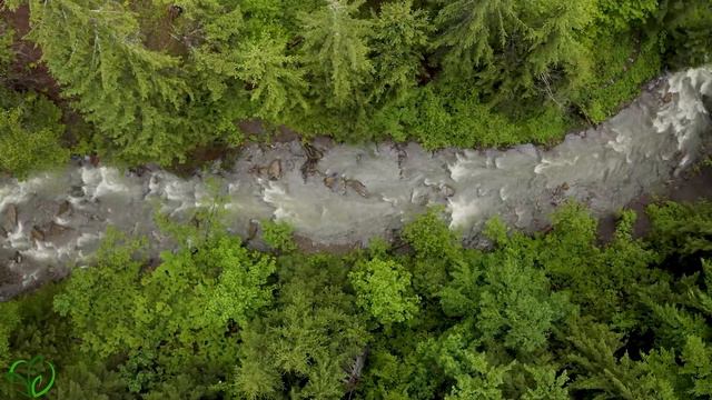 Красивая расслабляющая музыка, хватит думать, музыка для снятия стресса, успокаивающая музыка #13 смотреть онлайн