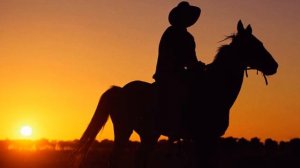 Мы пойдем с конем