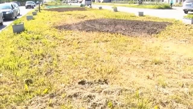 Для кошения травы в Верхней Салде УЖКХ наймёт временных рабочих смотреть онлайн