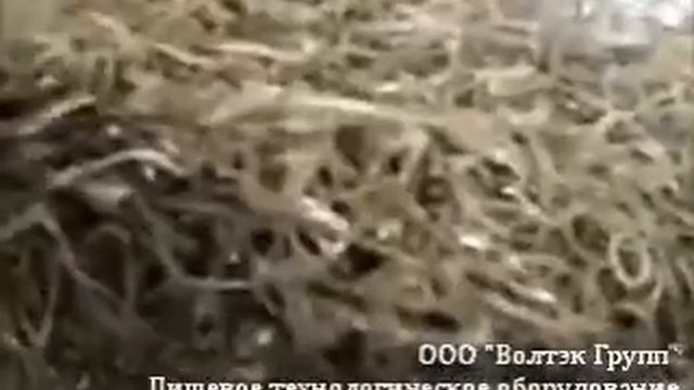 Слайсер нарезки морской капусты смотреть онлайн