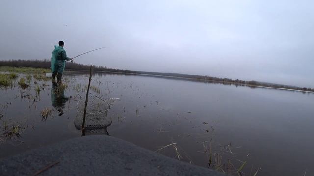 ВСЕМ ТАКОЙ РЫБАЛКИ . КЛЁВ ПЛОТВЫ НА РУЧЬЕ ШАТРЕЦ . РЫБИНКА 2020. смотреть онлайн