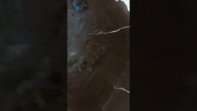 Strange hole near the forest смотреть онлайн