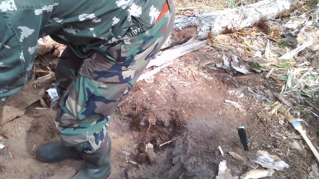 КЛАД БРИЛЛИАНТОВЫХ БОГАТСТВ! РАЗГРАБИЛИ ТАЙНИК! ЛЕСНЫЕ НАХОДКИ 2019 ГОДА!