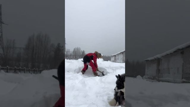 Как снимать мукбанг и быть в форме? Легко! смотреть онлайн