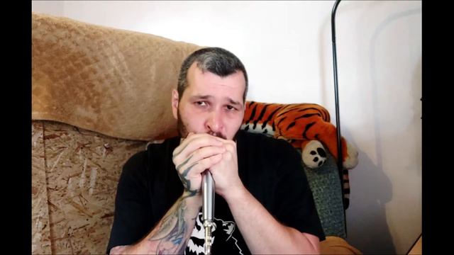 Baby please dont go. Harmonica cover смотреть онлайн