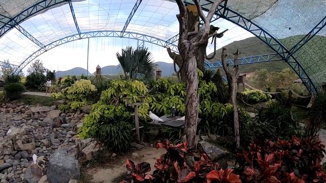 Отдых во Вьетнаме, Нячанг 2020. Остров Vinpearl, часть 4, Птичий вольер и оранжереи. смотреть онлайн