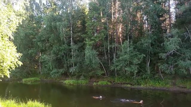 Сегодня мы с Тунькой идем на речку. смотреть онлайн