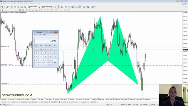 How to trade the bat pattern - 160 PIPS +- for a bullish bat pattern смотреть онлайн