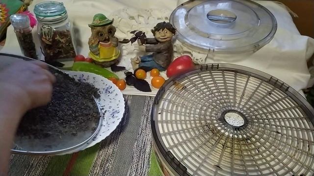 Заготовка соли с базиликом для острой овощной смеси.