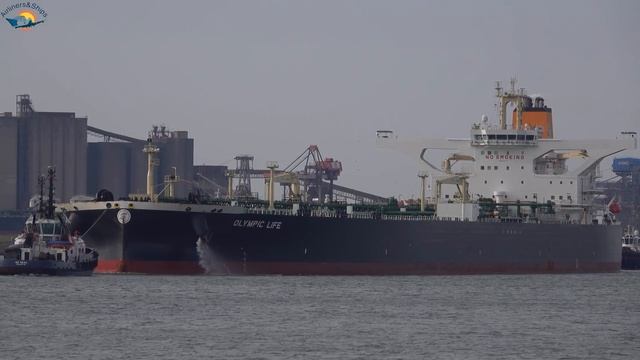 VERY LARGE CRUDE CARRIER And ULTRA LARGE CONTAINER SHIP Arrives ROTTERDAM PORT, 4K Shipspotting 202