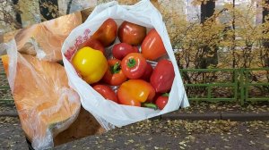Размышления, шансы... Хочу соц. контракт!  Вспомнила про тостер))). Тружусь, вяжу.