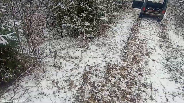 На Пикник-Охоту с друзьями за глухарями зимой смотреть онлайн