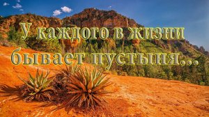 У каждого в жизни бывают пустыни  *
