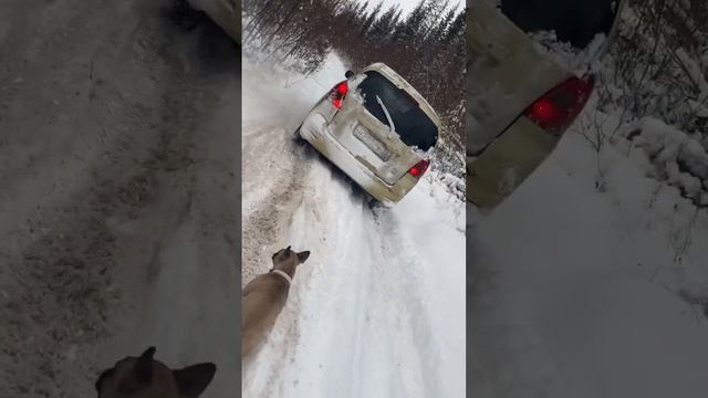 А говорил проехать можно ? #shorts #car #offroad #toyota #авто