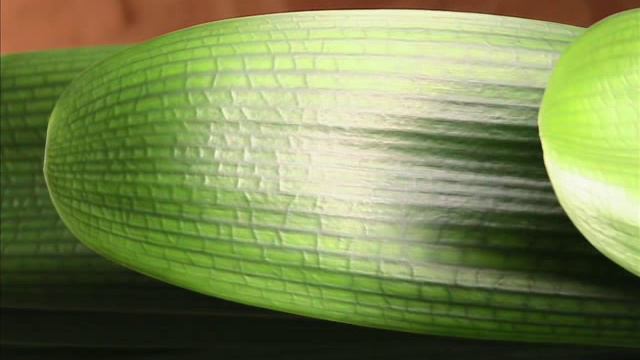 Clivia Plant 2 смотреть онлайн