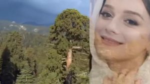 Айна Исаева. Белой акации гроздья душистые