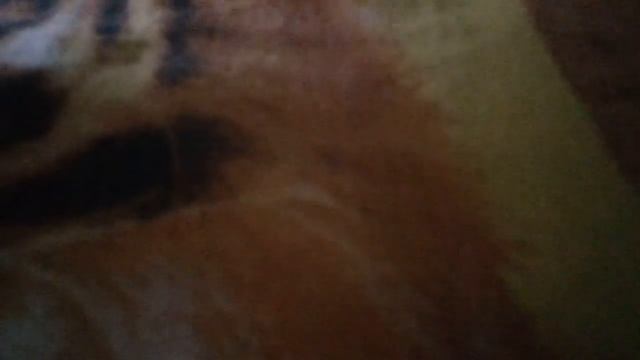 Ачки вертуальной реальности вр бокс смотреть онлайн