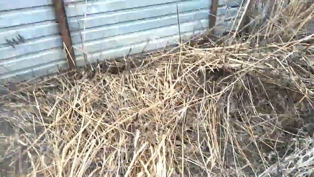 Чистим огород от травы смотреть онлайн