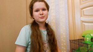 Что нужно для появления хомяка дома? ОБУСТРОЙСТВО ЖИЛИЩА ДЛЯ ДЖУНГАРИКА