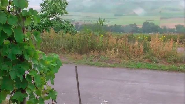 Peugeot Sport Slovakia: Rally Deutschland 2015 pre-event test смотреть онлайн