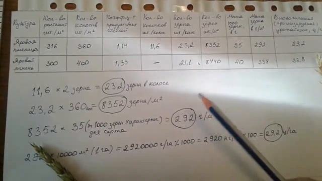 Определение биологической урожайности у зерновых культур смотреть онлайн