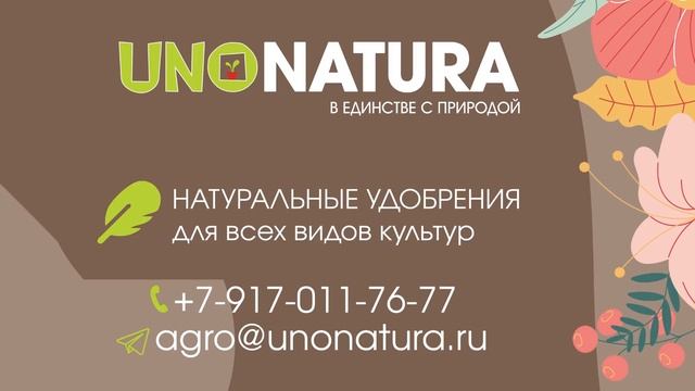 Дачные советы Галины Старосельцевой Декабрь 16-2021 смотреть онлайн