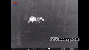 Как далеко видит тепловизор?