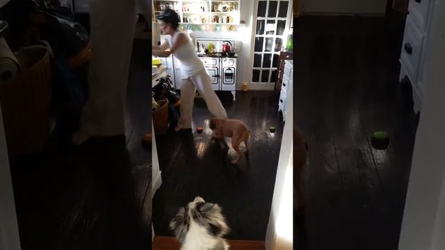 Button game and B смотреть онлайн