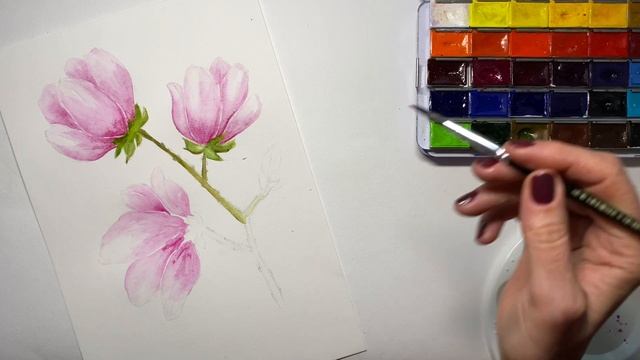 Акварель / Botanical drawing / Watercolor смотреть онлайн