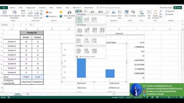 Descriptive Analysis using excel and insert Confidence Interval to a Graph-Rosabelle CHEDID смотреть онлайн