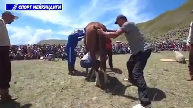 Как они так додумались 😄 целых 450 КГ смотреть онлайн