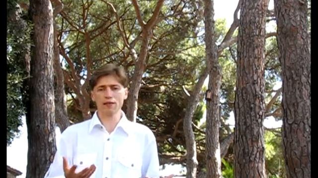 Что такое счастье в метафора дерева Жизни смотреть онлайн