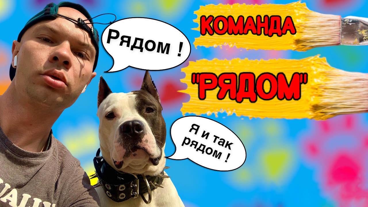 Команда «Рядом»