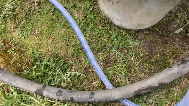 АБИССИНСКАЯ СКВАЖИНА РЕШАЕТ АБСОЛЮТНО ВСЕ ПРОБЛЕМЫ! смотреть онлайн