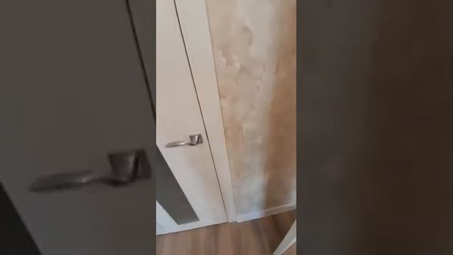 Межкомнатные двери в эко шпоне. смотреть онлайн