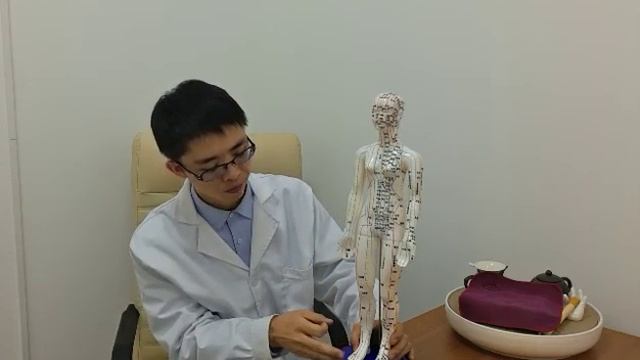 Меридианы в китайской медицине 中医经络简介