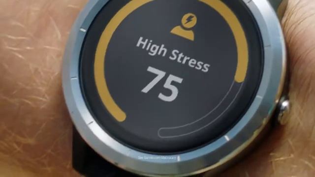 умные часы garmin Vivoactive 3 смотреть онлайн
