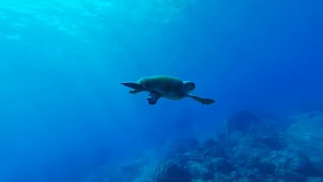 ?Медитация вишуддха(горловая чакра) смотреть онлайн