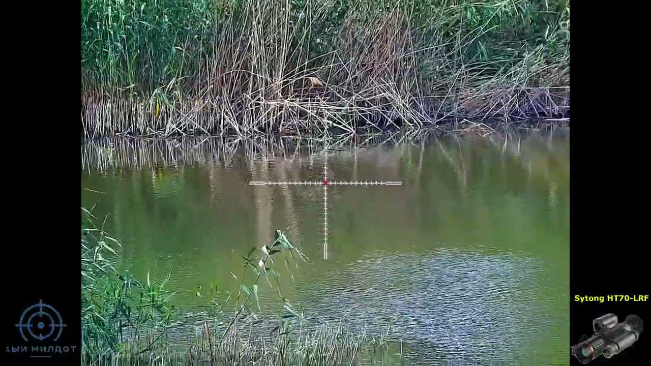 Sytong HT70-LRF картинка днём