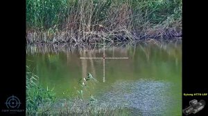 Sytong HT70-LRF картинка днём