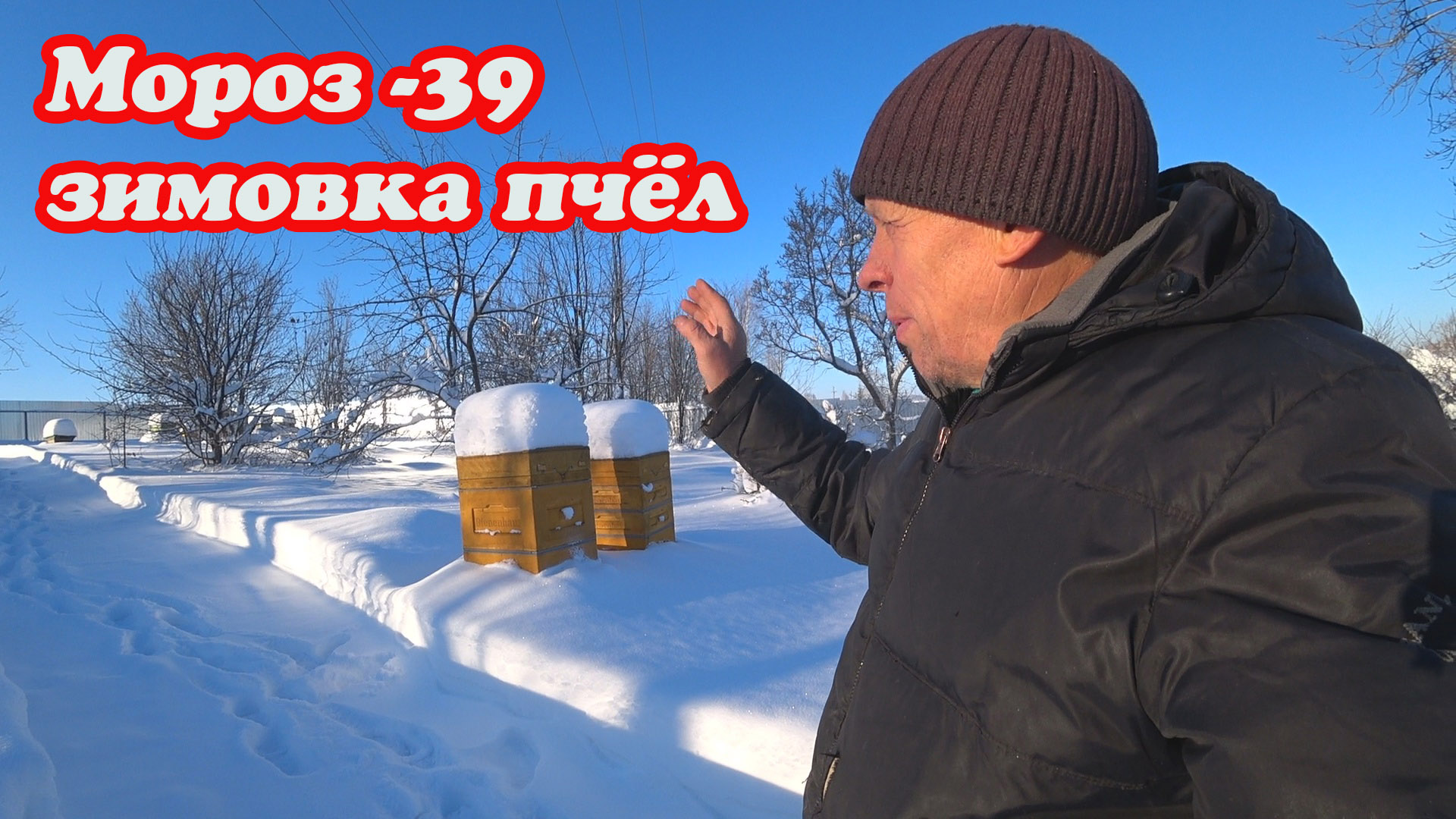ЗИМОВКА ПЧЁЛ, ПРИШЛИ СИЛЬНЫЕ МОРОЗЫ -39, СТОЛЯРНЫЕ РАБОТЫ. смотреть онлайн