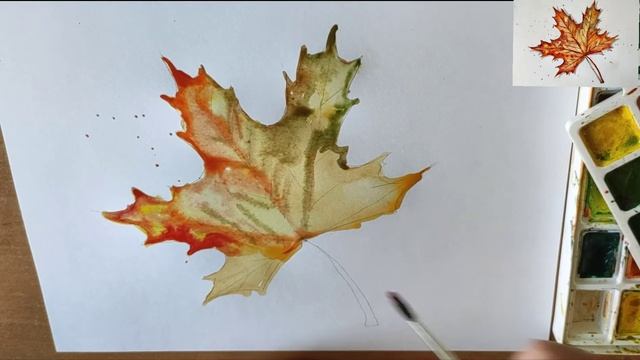 Как нарисовать кленовый лист акварелью. Мастер-класс Short watercolor painting tutorial: maple leaf смотреть онлайн