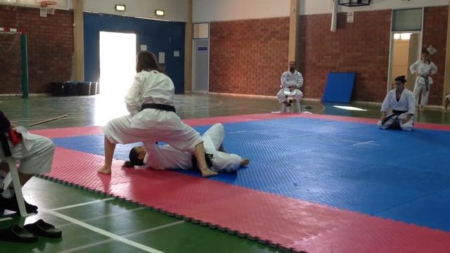 Sensu Bunkai - Rafaella-Marietta-Xenia смотреть онлайн